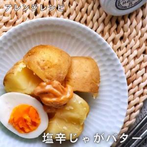 イカの塩辛 イカ塩辛 無添加 塩辛 イカ いか 高級の詳細画像3