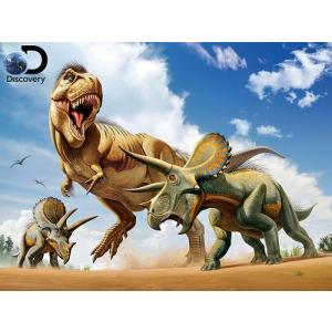 3d ジグソーパズル ティラノサウルスvsトリケラトプス 500ピース 最安値 価格比較 Yahoo ショッピング 口コミ 評判からも探せる