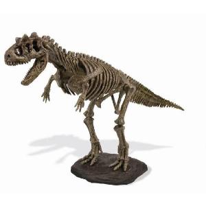 発掘恐竜スケルトンキット ティラノサウルス : ヤマサン Yahoo