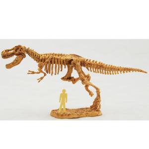 ヤマサン T-Rex Skeleton 化石発掘キット　ティラノサウルス 発掘恐竜スケルトンキット ティラノサウルス : ヤマサン Yahoo