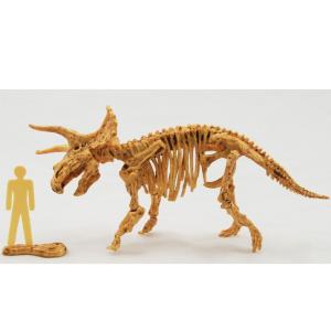 発掘恐竜スケルトンキット ティラノサウルス : ヤマサン Yahoo