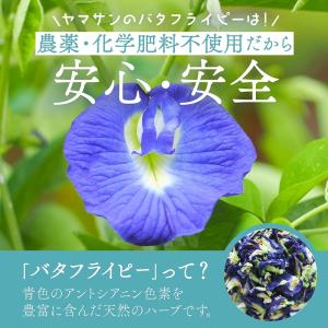 バタフライピーパウダー(30g)| 製菓用パウ...の詳細画像2
