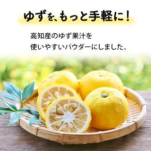 高知県産 ゆず果汁パウダー(40g)| ゆず ...の詳細画像1