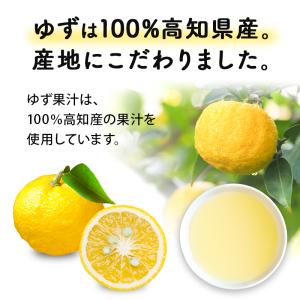高知県産 ゆず果汁パウダー(40g)| ゆず ...の詳細画像2