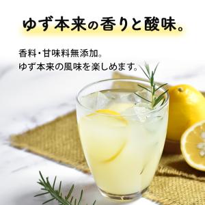 高知県産 ゆず果汁パウダー(40g)| ゆず ...の詳細画像3