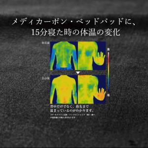 メディカーボン 温熱シート ナプキンタイプ 2...の詳細画像2