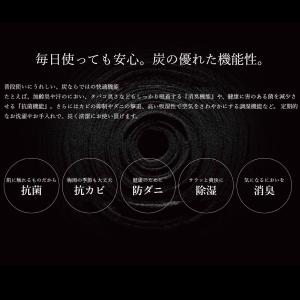 メディカーボン 温熱シート ナプキンタイプ 2...の詳細画像3