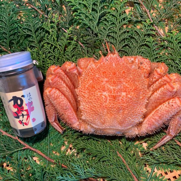 北海道産 冷凍ボイル毛がに 800前後1尾 蟹屋こだわり無添加かにみそ 80g1本 送料込み ※沖縄...