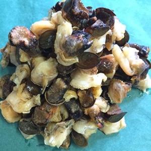 北海道産 ボイルムキツブ 約1kg