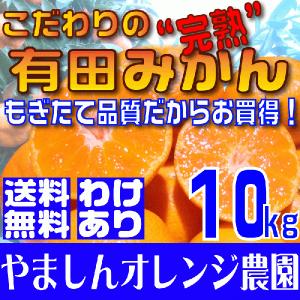 (送料無料)(訳あり わけあり ワケアリ)こだわりの完熟有田みかん 10kg　もぎたて農家直送