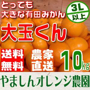 (送料無料)(大玉みかん)食べ応えバツグン 大粒　有田みかん 10kg　農家直送