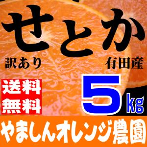 訳ありせとか【送料無料】わけありせとかみかん【もぎたて品質】約5kg【3月上旬発送】【有田産せとか】