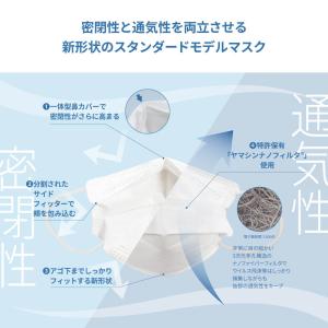 【公式】究極のヤマシン・フィルタマスク プラス...の詳細画像2