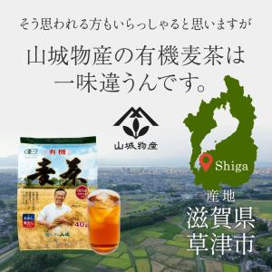 有機麦茶 10g×40袋(20袋x2個)国産 ...の詳細画像5