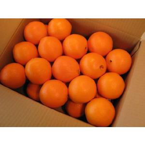 オレンジ 30個入り　送料別商品です。｜yamashirokudamono
