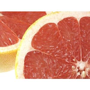 グレープ フルーツ ルビー 中玉１個　送料別商品です。ご注文後こちらで送 料加算させていただきます。