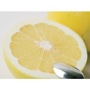 グレープ フルーツ ホワイト 中玉１個　送料別商品です。ご注文後こちらで送 料加算させていただきます。