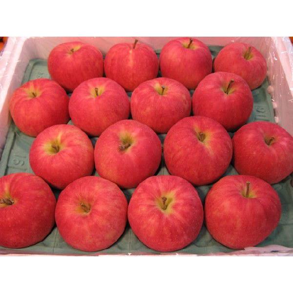 ジョナゴールド ３２個入り 送料無料