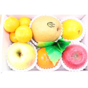 果物　fruit　お供えフルーツプレゼント お見舞い　あすつく 送料無料 （北海道、沖縄県は送料1000円追加させていただきます。）