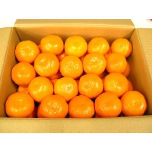 みかん 蜜柑 甘くておいしい SSサイズ 10キロ入り あすつく（北海道