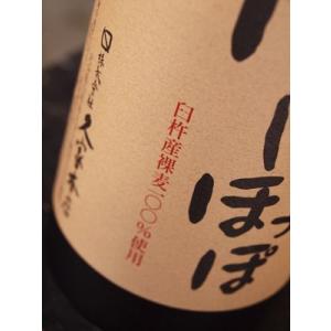 大日如来 心が穏やかになる大仏陶器 大分むぎ焼酎 石仏 25度 900ml