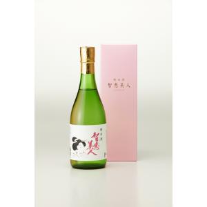 智恵美人 純米酒 720ml 中野酒造 漢字のちえびじんは地元流通ラベル