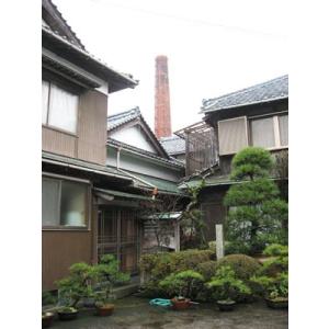 西の関 超辛口 23年貯蔵原酒 500ml 萱島酒造 ミシュラン2つ星「茶禅華」川田智也シェフ絶賛のビンテージ古酒