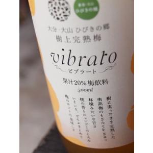 樹上完熟梅飲料 ビブラート(vibrato) 500ml×12本入 果汁20% ＡＮＡ全日空 国内線機内メニュー採用｜yamashiroya