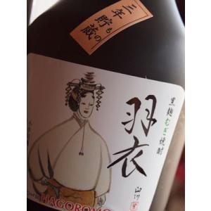 いいちこラグビーボトル型陶器焼酎 iichiko40 750ml 三和酒類 : 創業