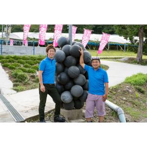 今や希少な大粒ブドウ ピオーネのドライフルーツ...の詳細画像2