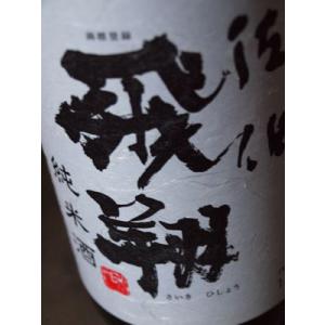佐伯飛翔　純米酒　16度　1800ml　ぶんご銘醸