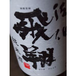 佐伯飛翔　純米酒　16度　1800ml　ぶんご銘醸｜yamashiroya