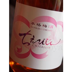 干支ガラスボトル 日本酒＆焼酎2本セット 2026年 午年 500ml 八鹿酒造