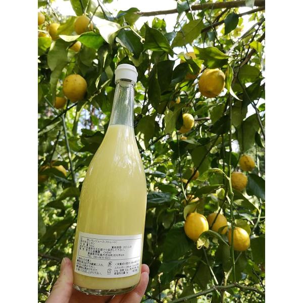 国産レモン果汁 無農薬ストレート100% レモンジュース 720ml 賞味期限2026.2.26