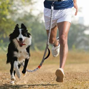 犬 多機能 ハンズフリーリード ランニング リード 肩掛けリード 2頭引き 反射機能 ダブルリード 多頭飼い 小型犬 中型犬 大型犬｜yamashita-mst