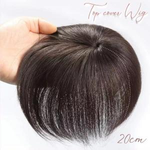 ウィッグ 頭頂部ウィッグ 部分ウィッグ ヘアピース 自然 つむじ 分け目 レディース ボリューム カツラ つけ毛 ワンタッチ クリップ式 レディース｜yamashita-mst