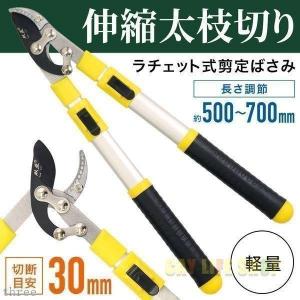 枝切り鋏 高枝切り鋏 剪定鋏 剪定ばさみ 太枝切り鋏 高枝切 枝切り鋏 枝きりはさみ 枝切りバサミ ラチェット式 軽量 伸縮 高枝 はさみ 鋏｜yamashita-mst