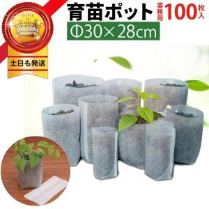 100枚 30x28cm 育苗ポット 育苗袋 10号鉢 地中用 分解性 育苗バッグ 不織布ポット 白 根腐れ 防止 業務用 プロ仕様 布鉢｜yamashita-mst