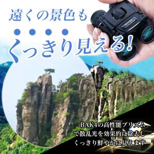 双眼鏡 ライブ用 オペラグラス コンサート 防...の詳細画像3