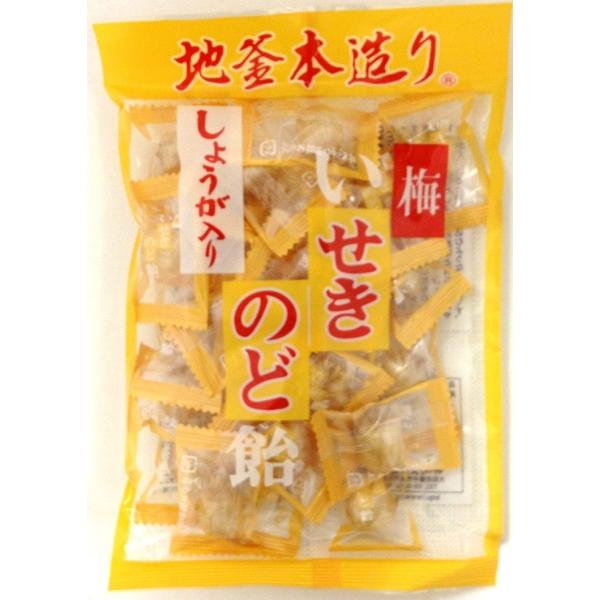 井関食品 　100ｇしょうが入り梅のど飴 10袋