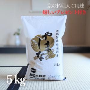 キヌヒカリ 新米 お米 20kg 京都 きぬひかり 玄米 5kg×4袋 令和7年産