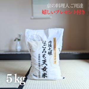新米 令和3年産  お米 5kg  京都丹後産コシヒカリ はごろも天女米 5kg×1袋