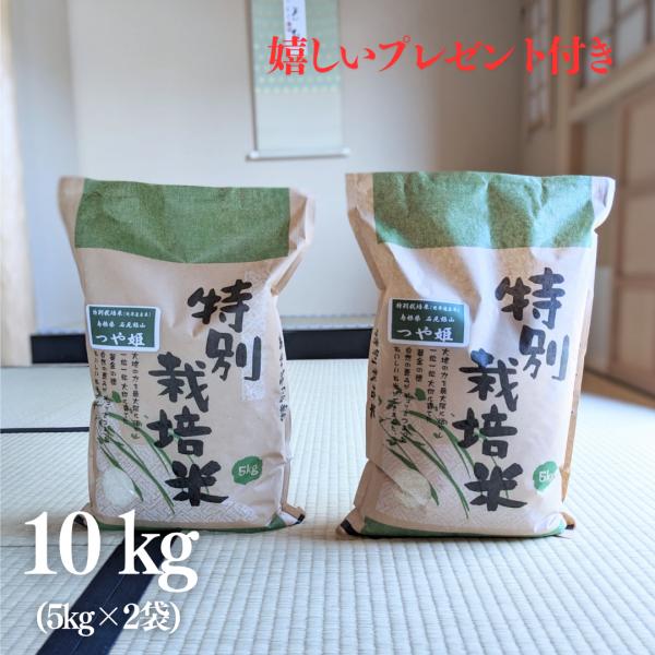 お米 特別栽培米 10kg 特A 島根県 石見銀山 つや姫 5kg×2袋 令和7年産 京都 熨斗無料...