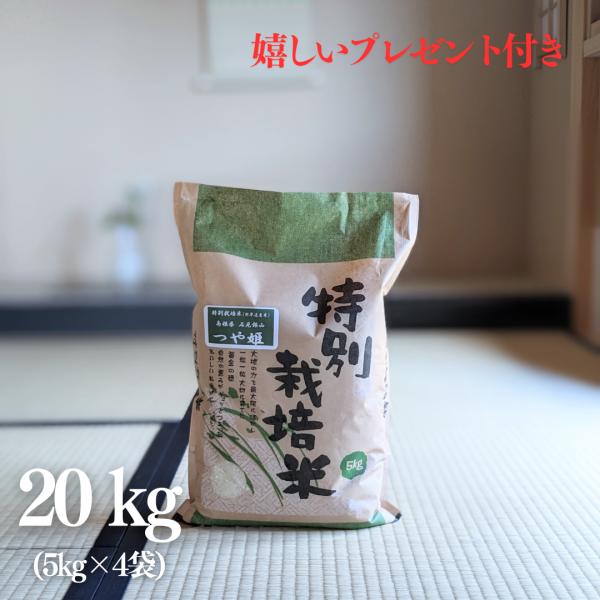 お米 特別栽培米 20kg 特A 島根県 石見銀山 つや姫 5kg×4袋 令和7年産 京都 熨斗無料...