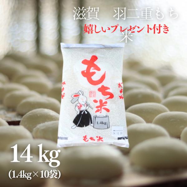 新米 お米 羽二重 もち米 14kg (1.4kg×10袋) 1斗 令和7年産 滋賀県産 餅つき 餅...