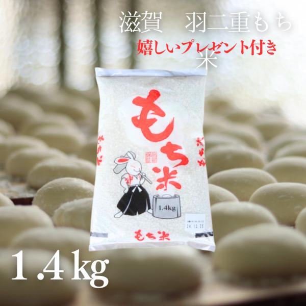 新米 お米 羽二重 もち米 1.4kg 1升 令和7年産 滋賀県産 餅つき 餅 お餅 おはぎ 赤飯 ...