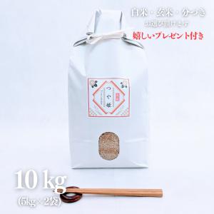 キヌヒカリ 新米 お米 10kg お米マイスター厳選 近江米ブレンド 令和7