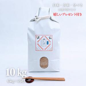 キヌヒカリ 新米 お米 20kg 京都 きぬひかり 玄米 5kg×4袋 令和7年産