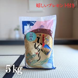 キヌヒカリ 新米 お米 20kg 京都 きぬひかり 玄米 5kg×4袋 令和7年産