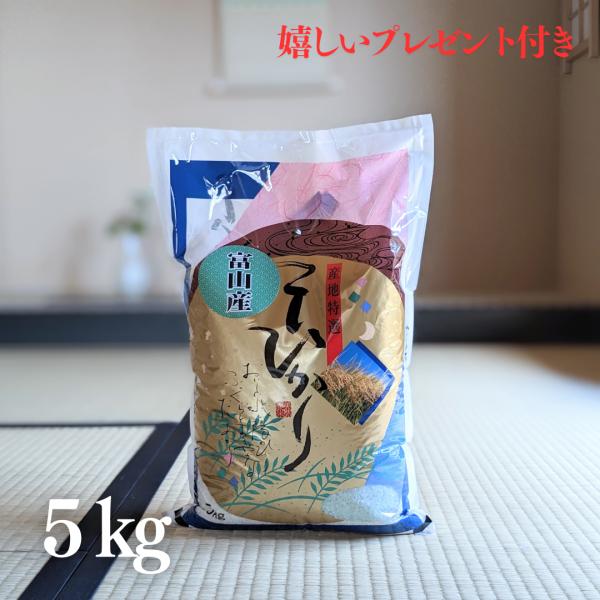 お米 5kg 富山県 こしひかり 白米 5kg×1袋 令和7年産 大粒 京都 グルメ ギフト 熨斗無...